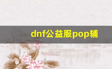 dnf公益服pop辅助如何优化你的游戏流程