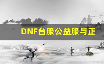 DNF台服公益服与正版游戏差异分析