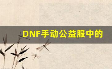 DNF手动公益服中的职业选择与装备搭配指南