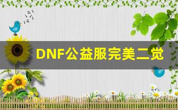 DNF公益服完美二觉的终极技巧，你掌握了吗