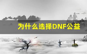 为什么选择DNF公益服发布网？