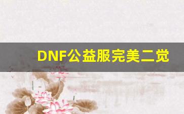 DNF公益服完美二觉揭秘，谁才是最强职业