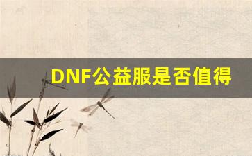 DNF公益服是否值得尝试？从玩家角度看