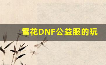 雪花DNF公益服的玩法技巧：新手必读
