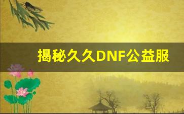 揭秘久久DNF公益服的玩法特色与系统优化