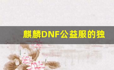 麒麟DNF公益服的独特魅力与玩家体验解析