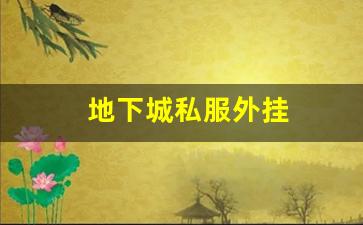 哪些网站提供地下城私服外挂