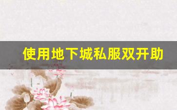 使用地下城私服双开助手的最佳实践