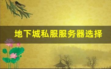地下城私服服务器选择指南，如何挑选最适合你的服务器
